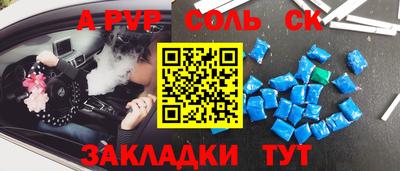 индика Лесосибирск