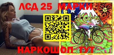 индика Лесосибирск