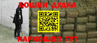 индика Лесосибирск