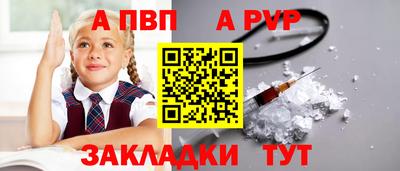 индика Лесосибирск