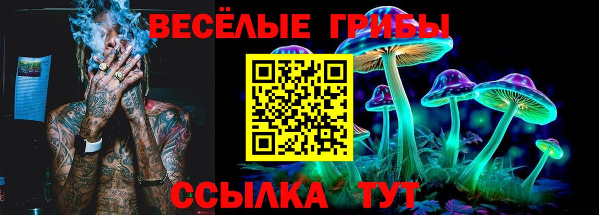 Псилоцибиновые грибы Psilocybe  Вход с VPN  Железногорск  Псилоцибиновые грибы Cubensis 